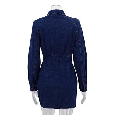 OEM maufactory European American Women'S Polyester Clothing Long Sleeved Pull Over Dress
